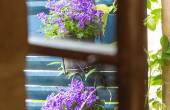 Suite Mana OHANA - Luxe et Authenticité à 2 pas de la Place Ducale avec Parking privé - Foto 17