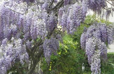 La Suite Di Rita - Foto 6