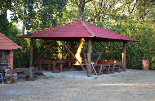 Gospodarstwo Agroturystyczne Agroletnica - Foto 49