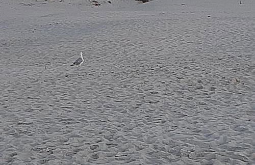 Magico Posto - Foto 58