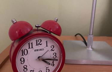 Innenstadt-Oase im Kapitänsviertel - Foto 27