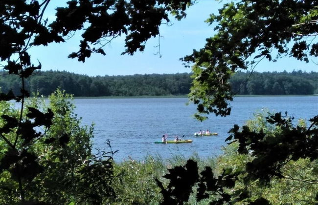 Holiday Home Vogelsang - Foto 17