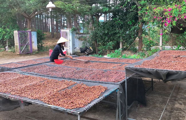 Midori Coffee Farm - Photo 31