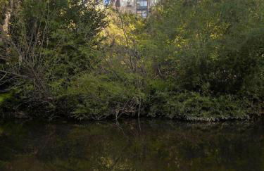 La Casona de los Cinco Caños - Foto 8