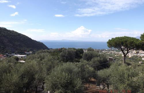 Appartamento Villa degli Ulivi - Foto 51