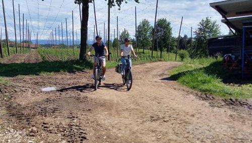 Ferienhof Metzler - Foto 4