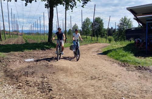 Ferienhof Metzler - Foto 4