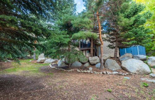 Within minutes to Ski Resorts and fireplace - Foto 54