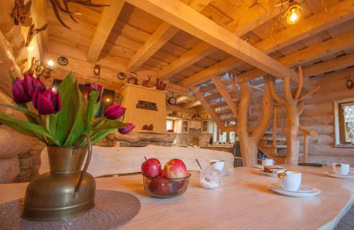 Chatka Ustrzyki - Foto 18