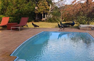 Ananda Multiverse Evolve 15' from the Botanical Garden - Foto 4