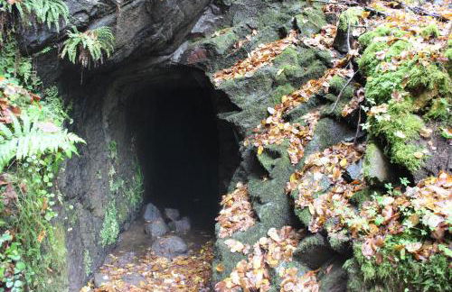 fewogriebelschied - Foto 60