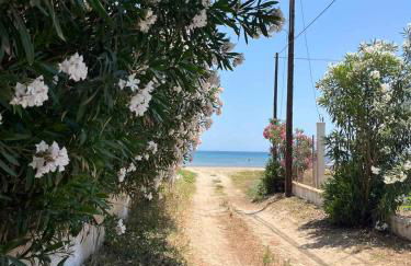 Seaside Modern House Katakolo - Photo 34