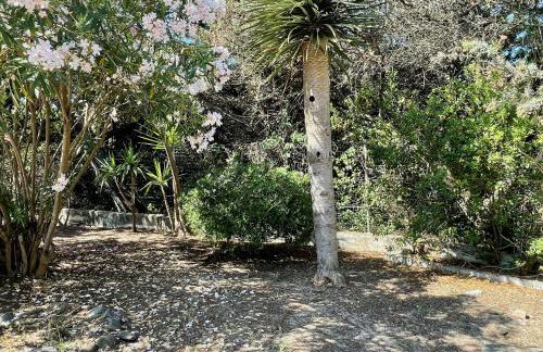 Villa Eden Beach - Foto 57