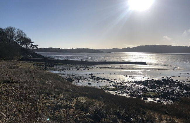 Holly Blue - Cosy Wooden Lodge, Kippford - Photo 15