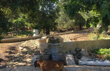Rustic Villa Tavira with Mountain Views and Pool - Foto 26