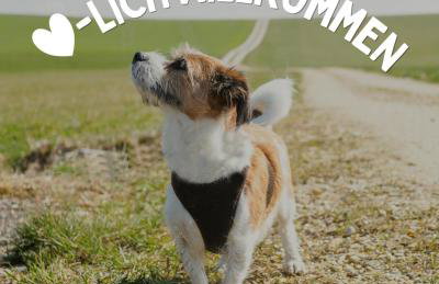 Ferienwohnung Oswald - Foto 20