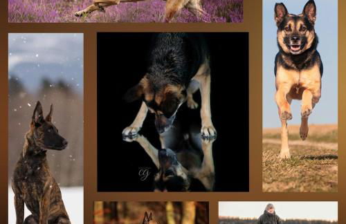 Ferienwohnung Schneeberg - Foto 13