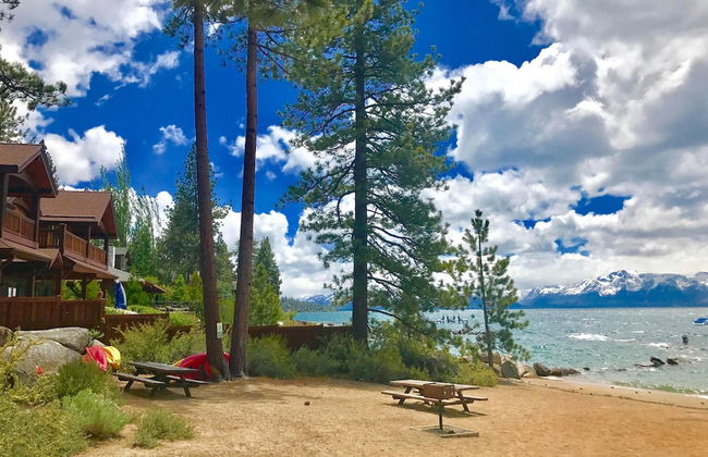 Month A Month Mv19 Willow - Foto 37