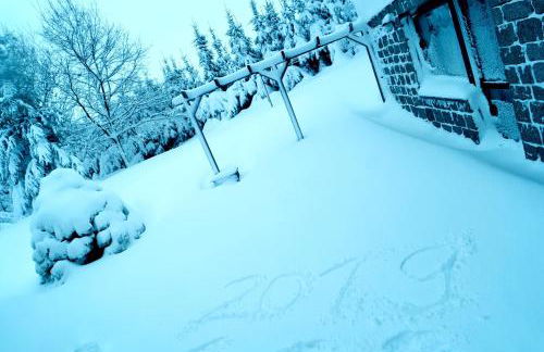 Ferienwohnung Blaumeise - Foto 74