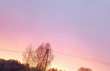 Leśny Domek - Foto 29