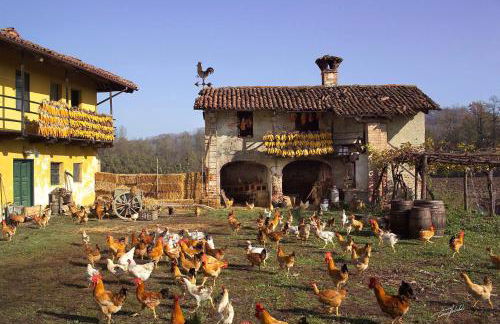 Casa Nalin - Photo 14