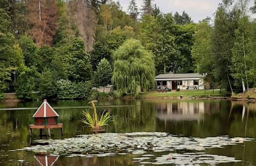 Naturerlebnisdorf Blauvogel im Harz - Foto 72