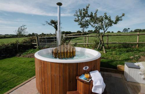 Shepherds Hut at Chenhall Farm - Photo 50