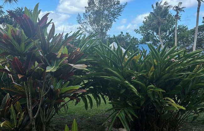 VILA DEL MARE - Foto 33