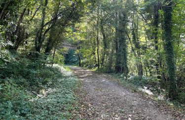 L'escapade Saint Michel - Foto 19