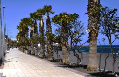 Donde Nieves - Foto 9