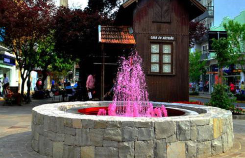 Casa das Palmeiras + Quiosque - Foto 59