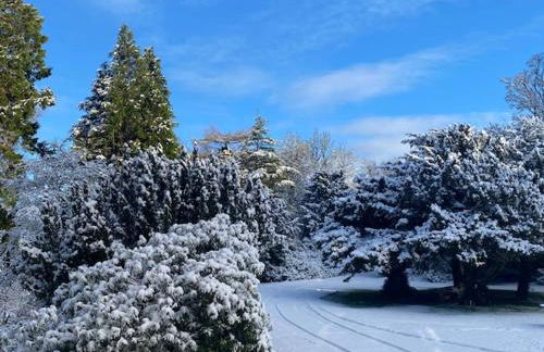 Limefield Mansion House - Foto 52