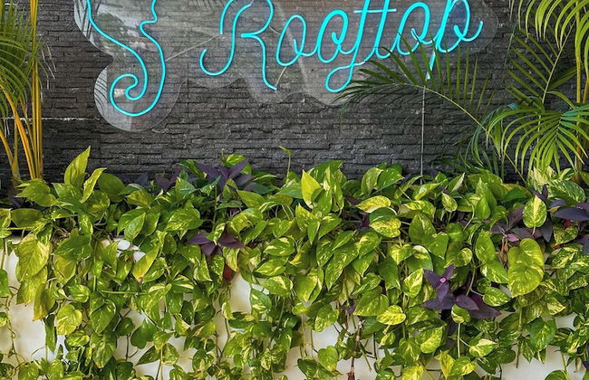 Hotelito del Mar - Foto 40