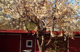 Ferienhaus Petersdorfer See - Foto 13