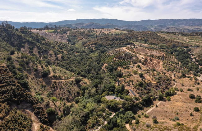 Quarter Horse by Avantstay Countryside Retreat - Foto 37