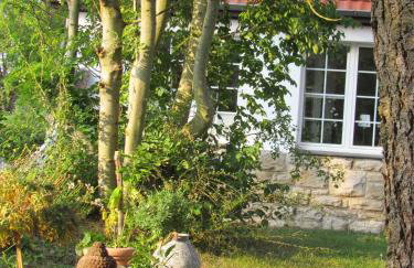 Alte Schule Altefeld - Foto 21