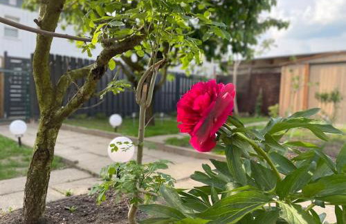 Schönes Reihenhaus mit Garten - Foto 16