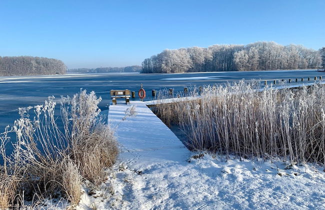 Holiday Home Seerose With Sauna on Lake Dummer, Dummer - Foto 43