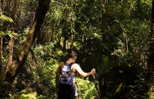 Alugo minha casa na floresta! - Foto 25