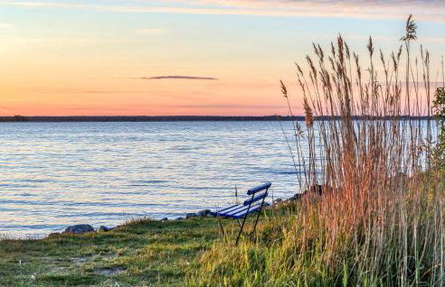 Ferienhaus Bodstedt - Foto 20