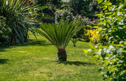 Casa da Cerca - Foto 19