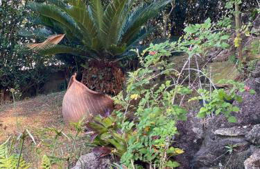 Chácara das Pedras Acolhedor, Alegria, Refúgio - Photo 69