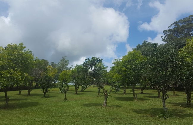 McCarthy Grove - Photo 17