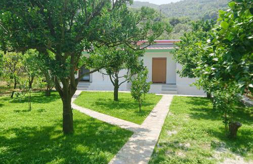 Lemongarden by the sea - Foto 10