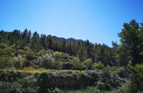 L'Antic Forn de Paüls - Foto 53