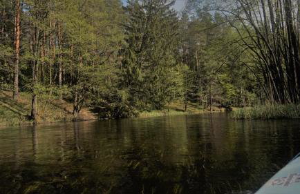 Farmstay Marianówka u Tesi - Foto 18