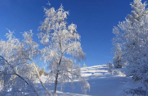 Agroturystyka Chmiel - Foto 67