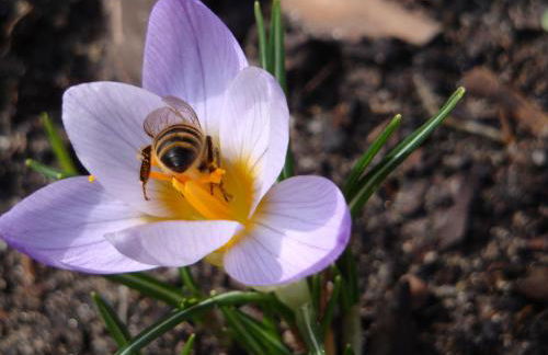 3 Sterne FH Fürstenwalde - Photo 8