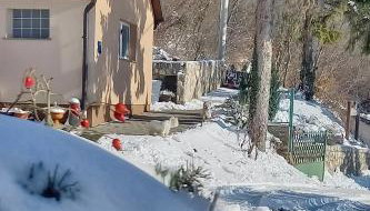 Apartments with parking space Kalnik, Podravina - 22913 - Photo 5