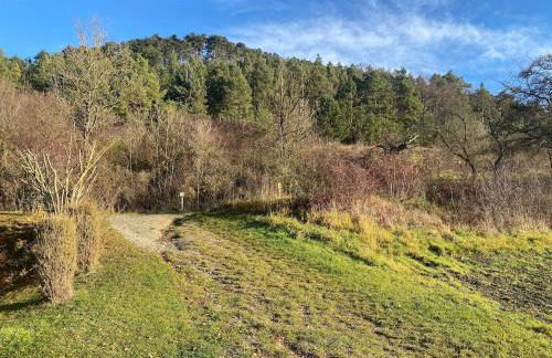 Ferienwohnung Am Steinberg - Foto 15